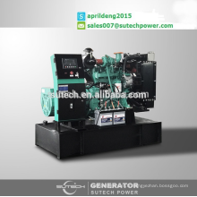 Big Discount! Générateur diesel 30 kva alimenté par le moteur Yangchai WP3.9D33E2